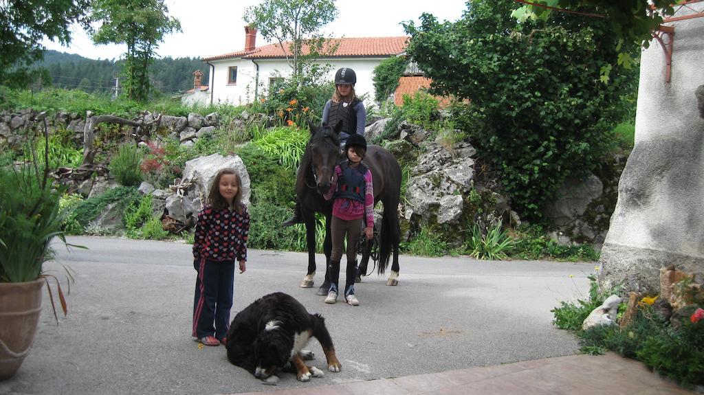 Villa Tourist Farm Dujceva Domacija Vremski Britof Exterior foto